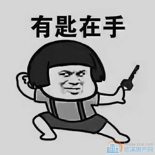 泊誉里大平层带双车位一口价389万直接钥