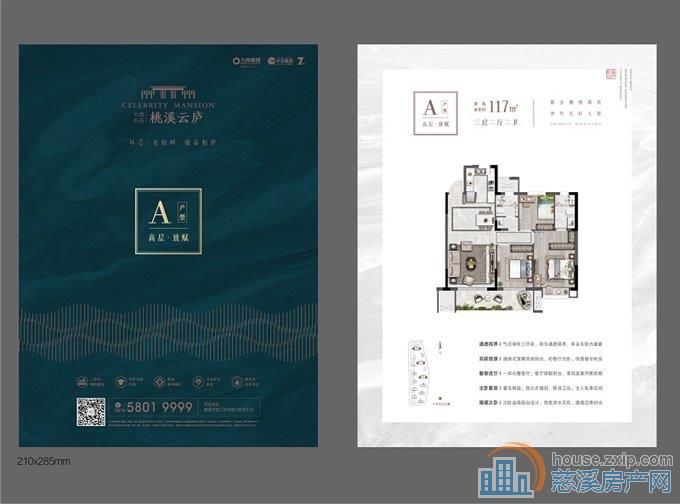 特价：桃溪云庐 黄金楼层东边套双阳台