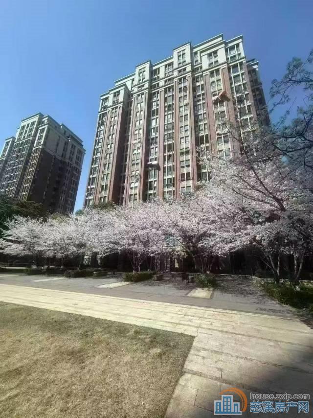 双喜花园10多层131平白坯120.8万