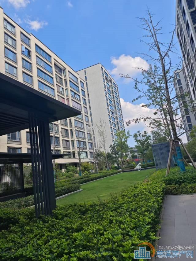 悦未来白坯117平车位楼层佳178万