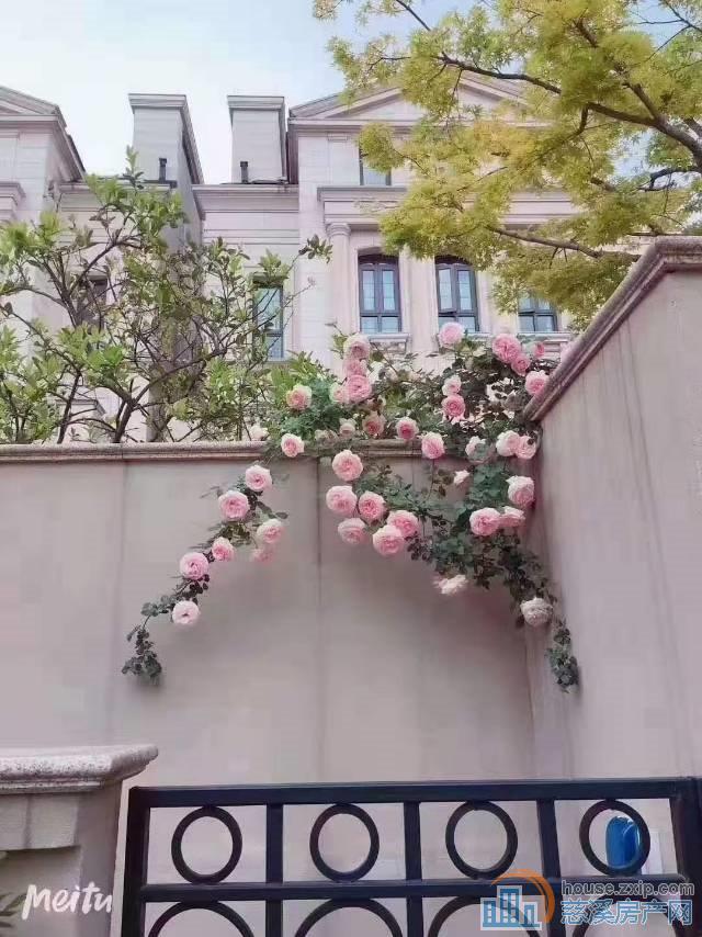 上林原著别墅486平方718万满2年