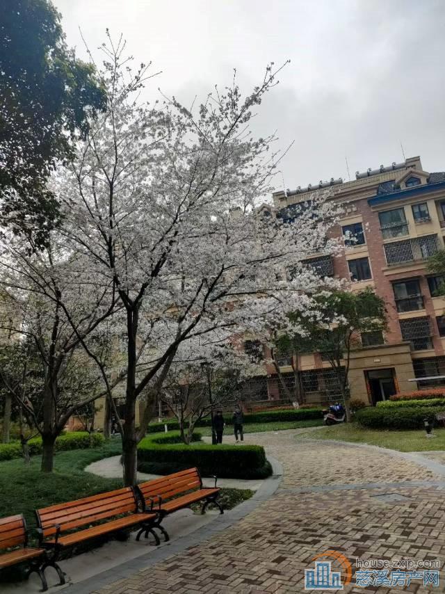 ✔嘉景园✔多层，楼梯房3楼，位置好