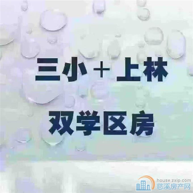 大新路私房1通1楼带院子60平方三小上林
