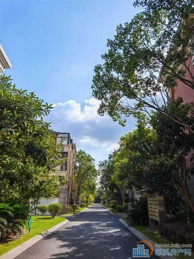 白金湾联排别墅2间3楼240平598万