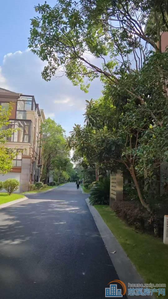 白金湾联排别墅2间3楼240平598万