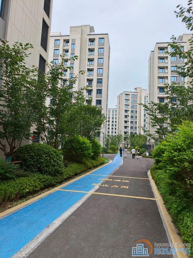 烨和苑洋房90平142平方多套